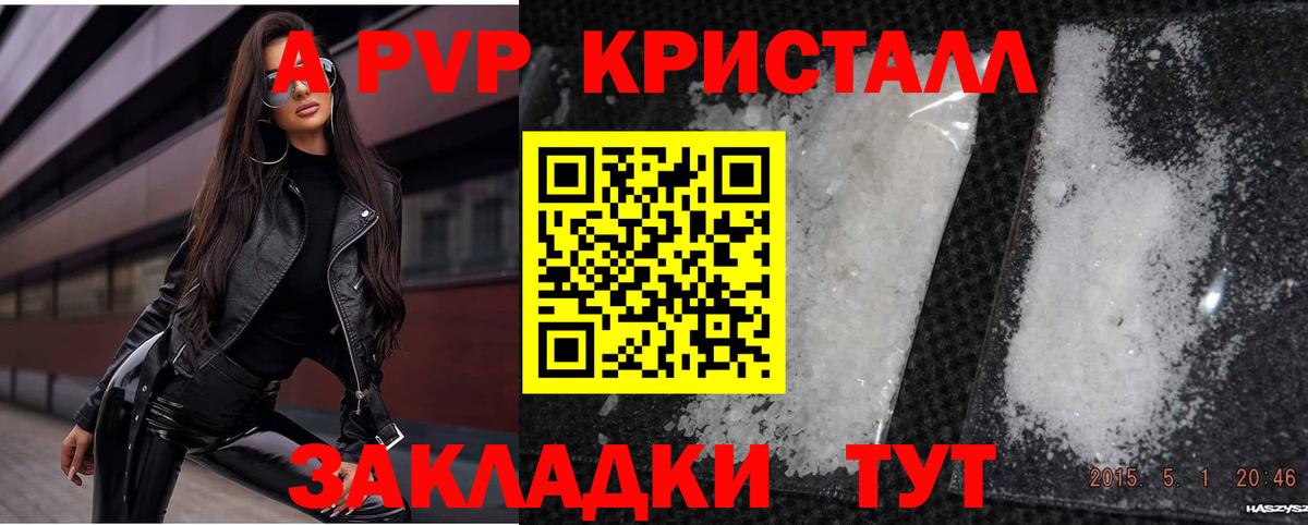 Альфа ПВП СК Выборг