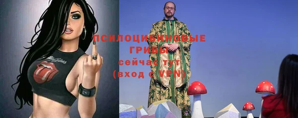 гашишное масло Новодвинск