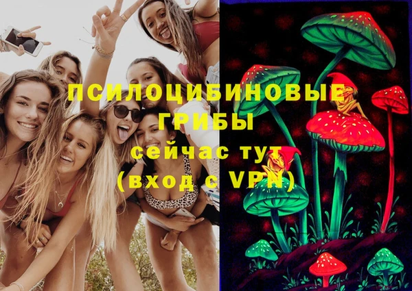 соль курить ск Няндома
