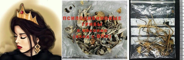 прущая мука Новозыбков