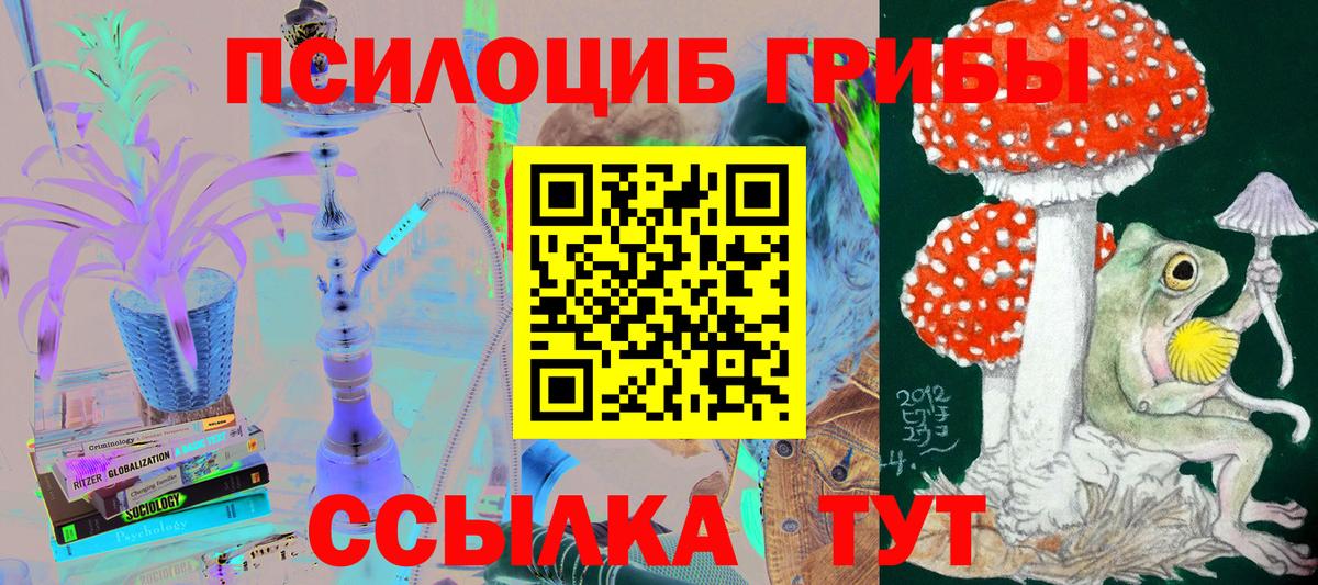 Экстази  Меф МЯУ МЯУ   Меф МЯУ МЯУ кристаллы  COCAIN  МДМА  Alpha-PVP СОЛЬ кристаллы  ГАШ  Выборг  Гашиш  Кодеин  Cocaine  Конопля  МЕТАМФЕТАМИН 