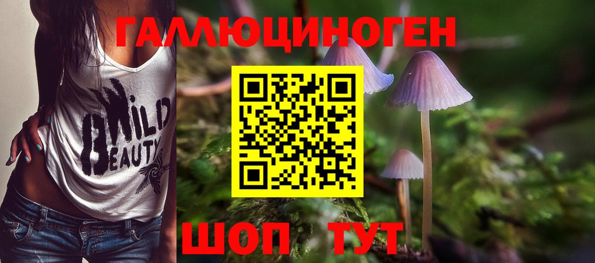 Псилоцибиновые грибы MAGIC MUSHROOMS  Псилоцибиновые грибы MAGIC MUSHROOMS  Выборг 