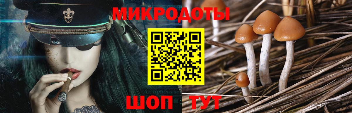 Галлюциногенные грибы прущие грибы Выборг