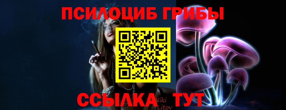 Выборг  Псилоцибиновые грибы Cubensis  Псилоцибиновые грибы Psilocybine cubensis  Вход с VPN 
